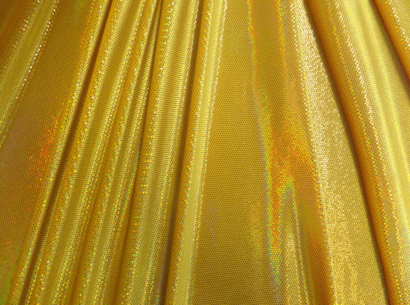 1.Gold Holographic Stretch Velvet